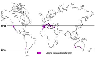 Akdeniz ikliminin görüldüğü yerler