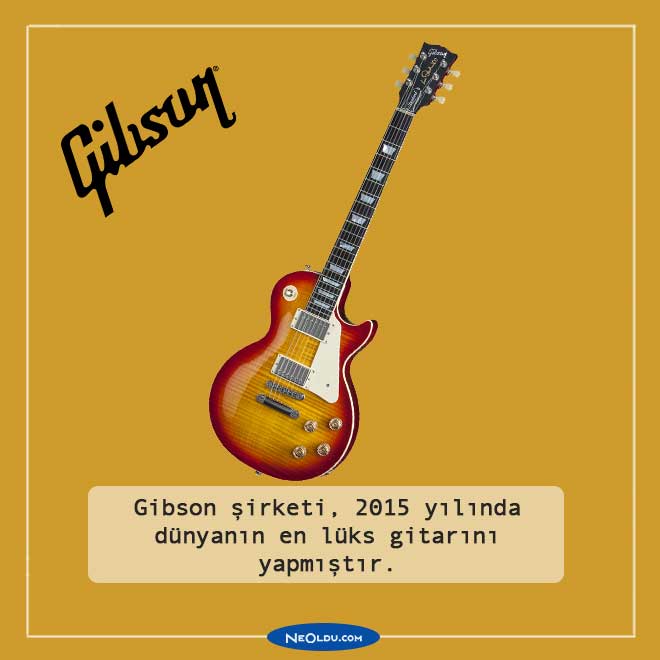 gitar hakkında bilgi