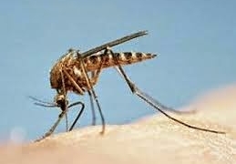 sivrisinek ilaçları