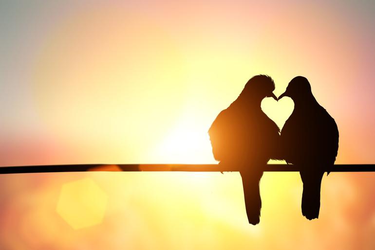 En Güzel Aşk Sözleri 2019 (Sevgiliye, Duygusal Resimli ve Romantik Kısa - Uzun Aşk Sözleri ve Mesajları) 