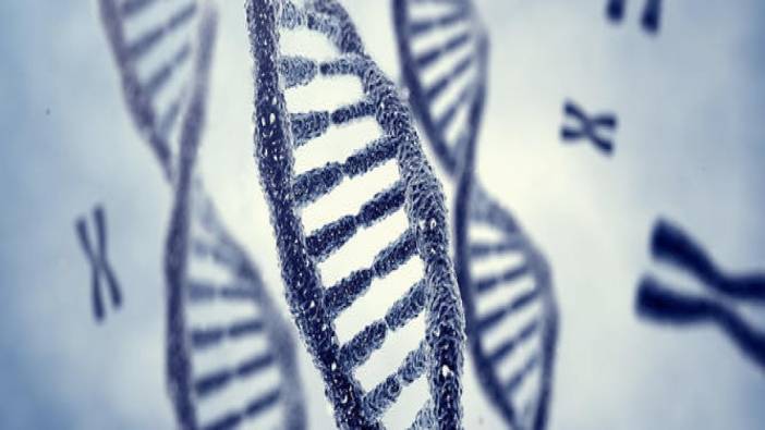 Diyabetin kalp krizi riskini DNA şifresinde gizlediği ortaya çıktı