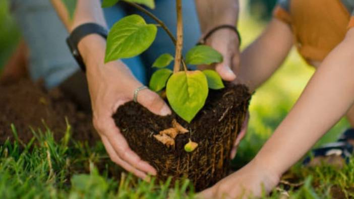 Her yeni doğan bebek için fidan kampanyası başlatılsın!