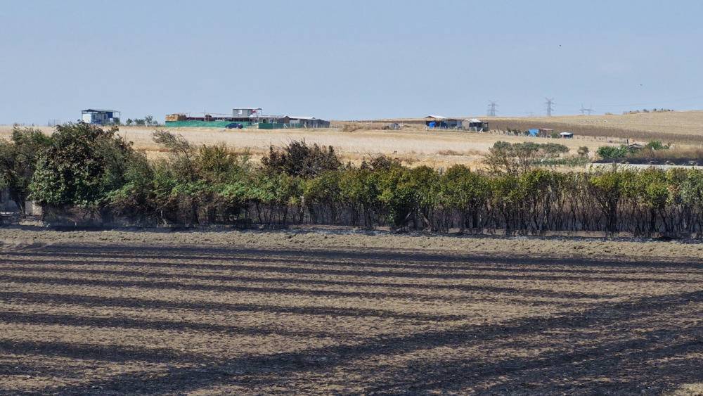 Anız yangınında 150 arı kovanı zarar gördü