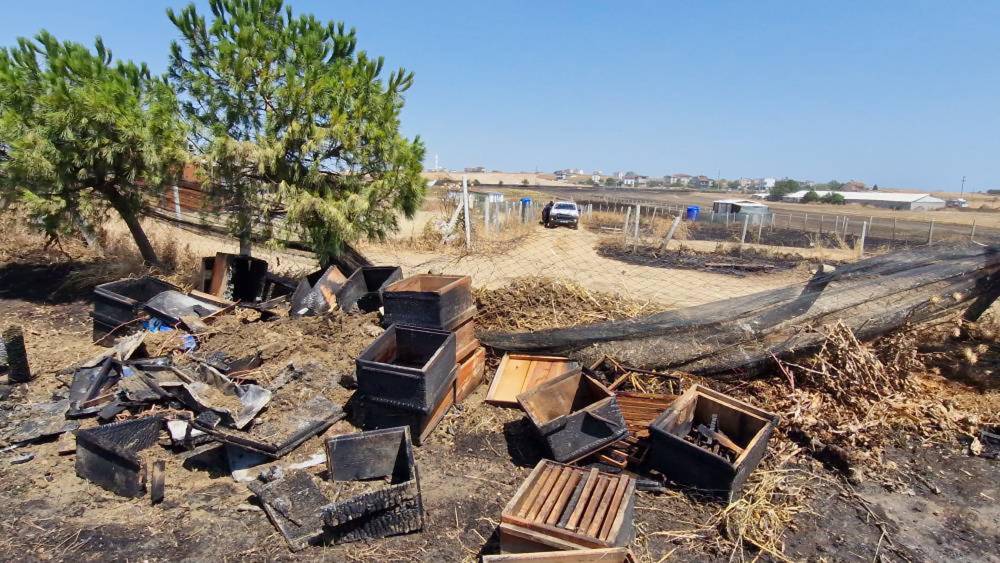 Anız yangınında 150 arı kovanı zarar gördü