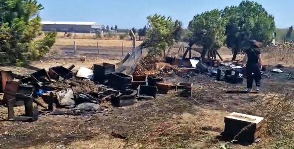 Anız yangınında 150 arı kovanı zarar gördü