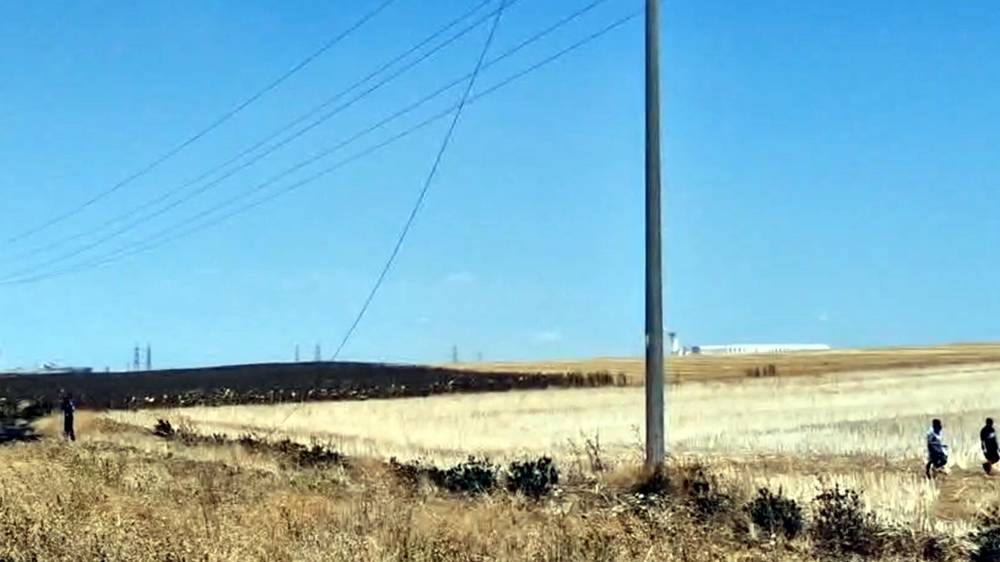 Anız yangınında 150 arı kovanı zarar gördü