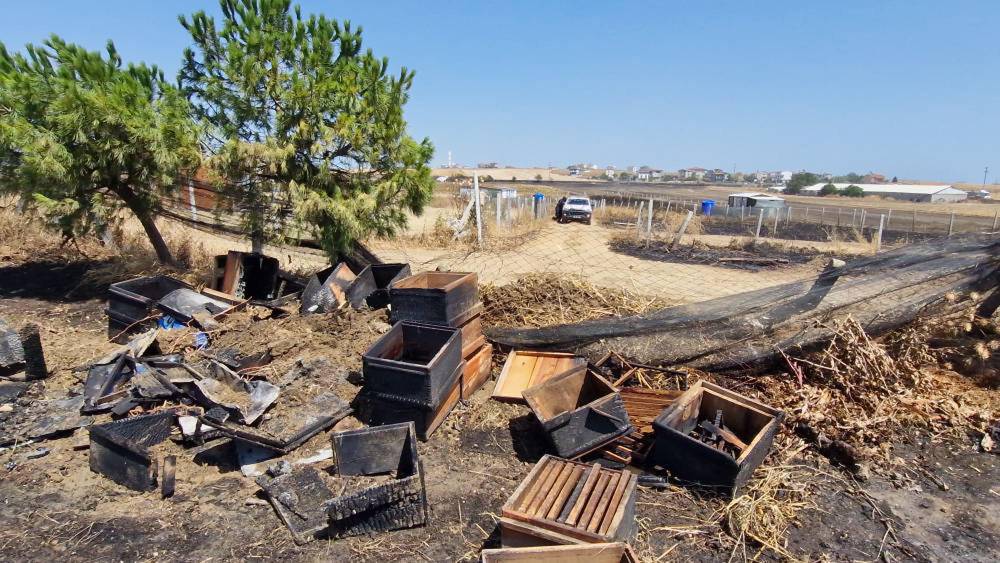 Anız yangınında 150 arı kovanı zarar gördü