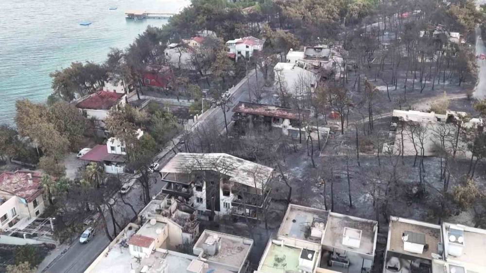 Çanakkale yangınının acı bilançosu ortaya çıktı!