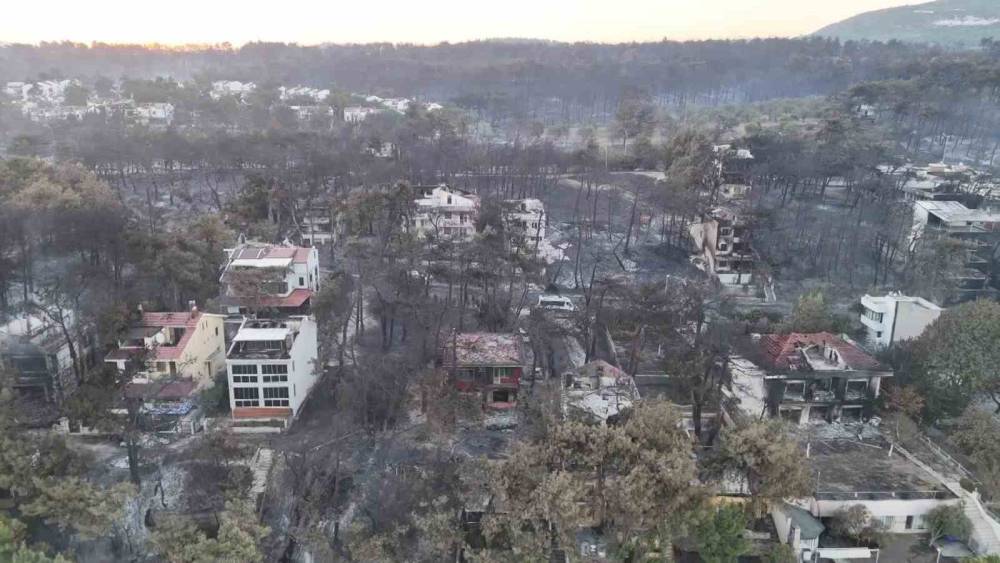 Çanakkale yangınının acı bilançosu ortaya çıktı!