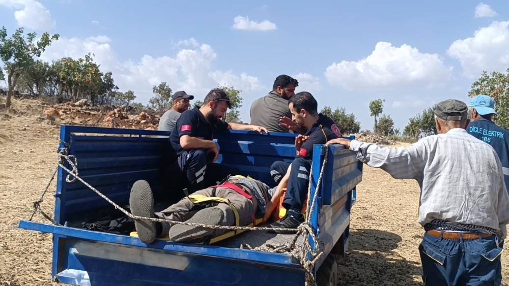 Ağaçtan düşen çiftçi patpatla ambulansa taşındı