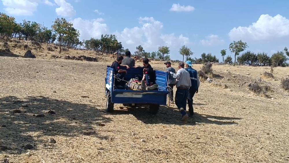 Ağaçtan düşen çiftçi patpatla ambulansa taşındı