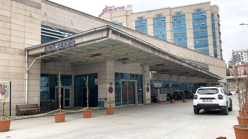 Ağaçtan düşen çiftçi patpatla ambulansa taşındı