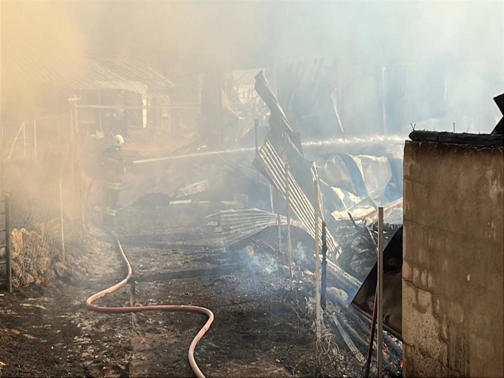 Benzinle başlayan yangın yaylayı sardı! Kundakçının mezarlık planı çöktü
