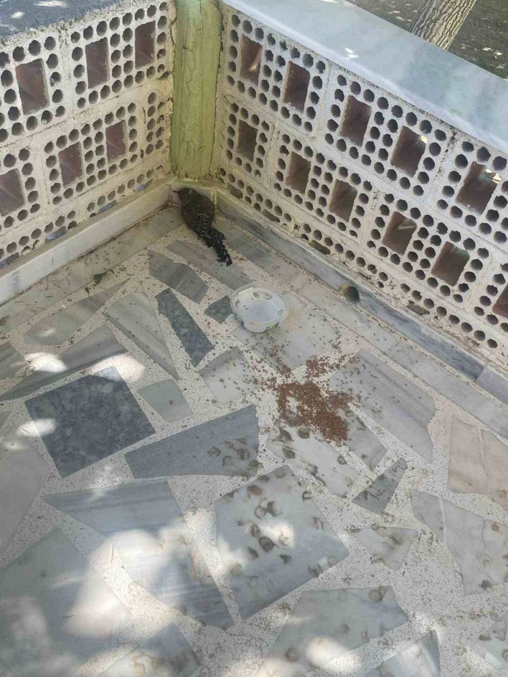 Yaralı ebabil kuşuna itfaiyeden şefkat eli