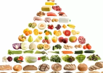 food guide pyramid e