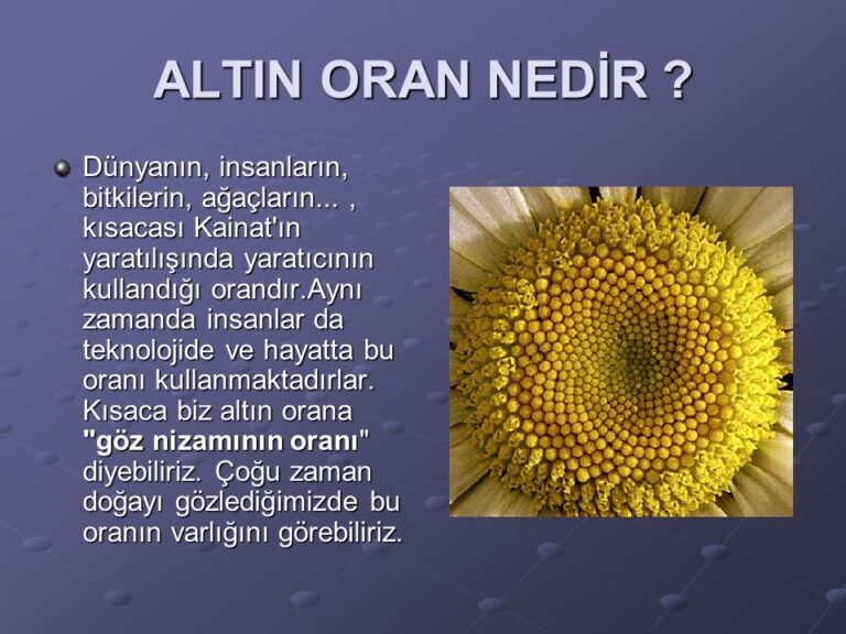 altin oran nedirBR